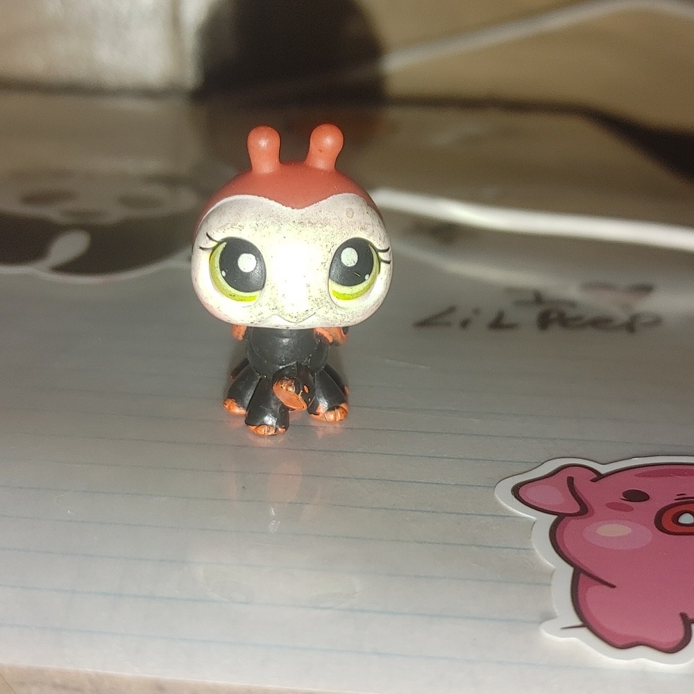Lps (Littlest pet shop)